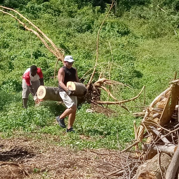 Two men carrying a large tree log in a green field.