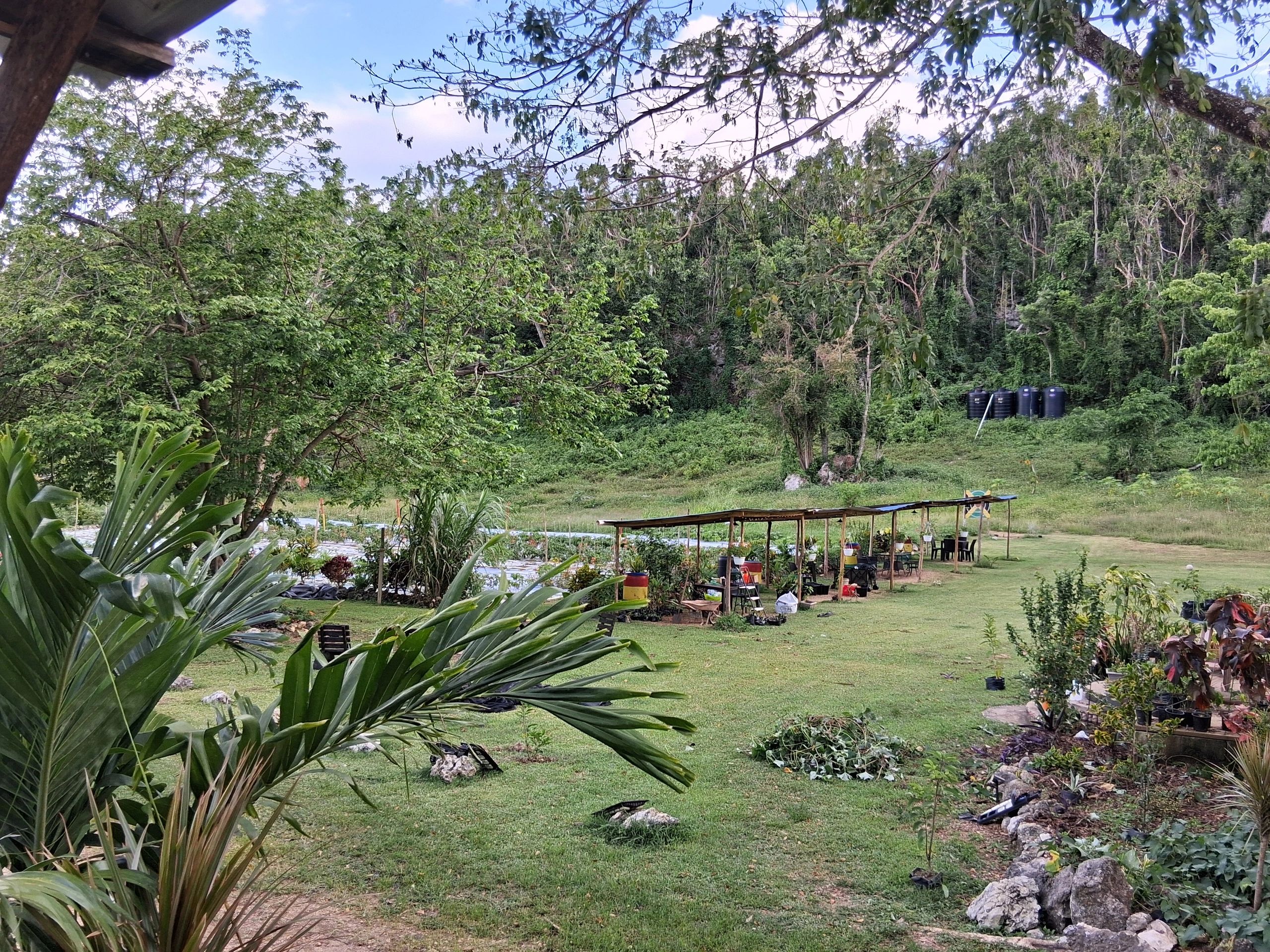 Lush green outdoor garden with covered seating.