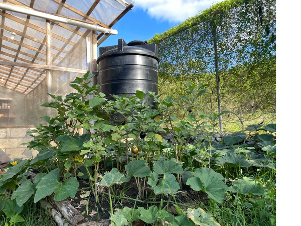 Water capture and conservation
