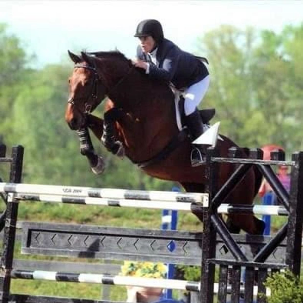 Horse and rider jumping over an obstacle in equestrian event.