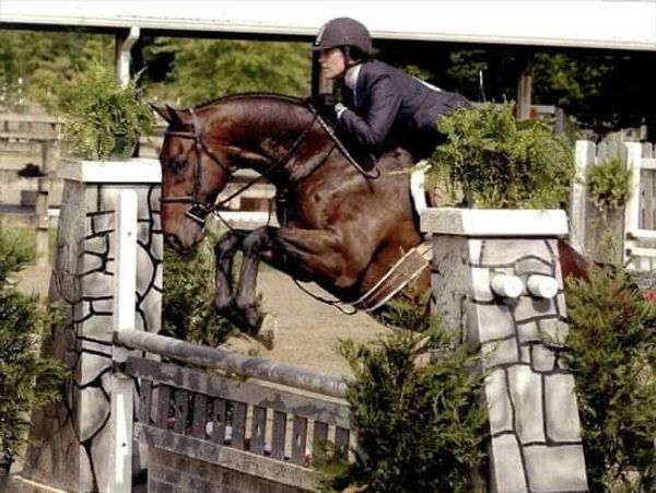 Horse and rider jumping over an obstacle in an equestrian event.