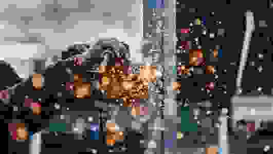 Skilled Work Regional (Provisional) visa - Main applicant