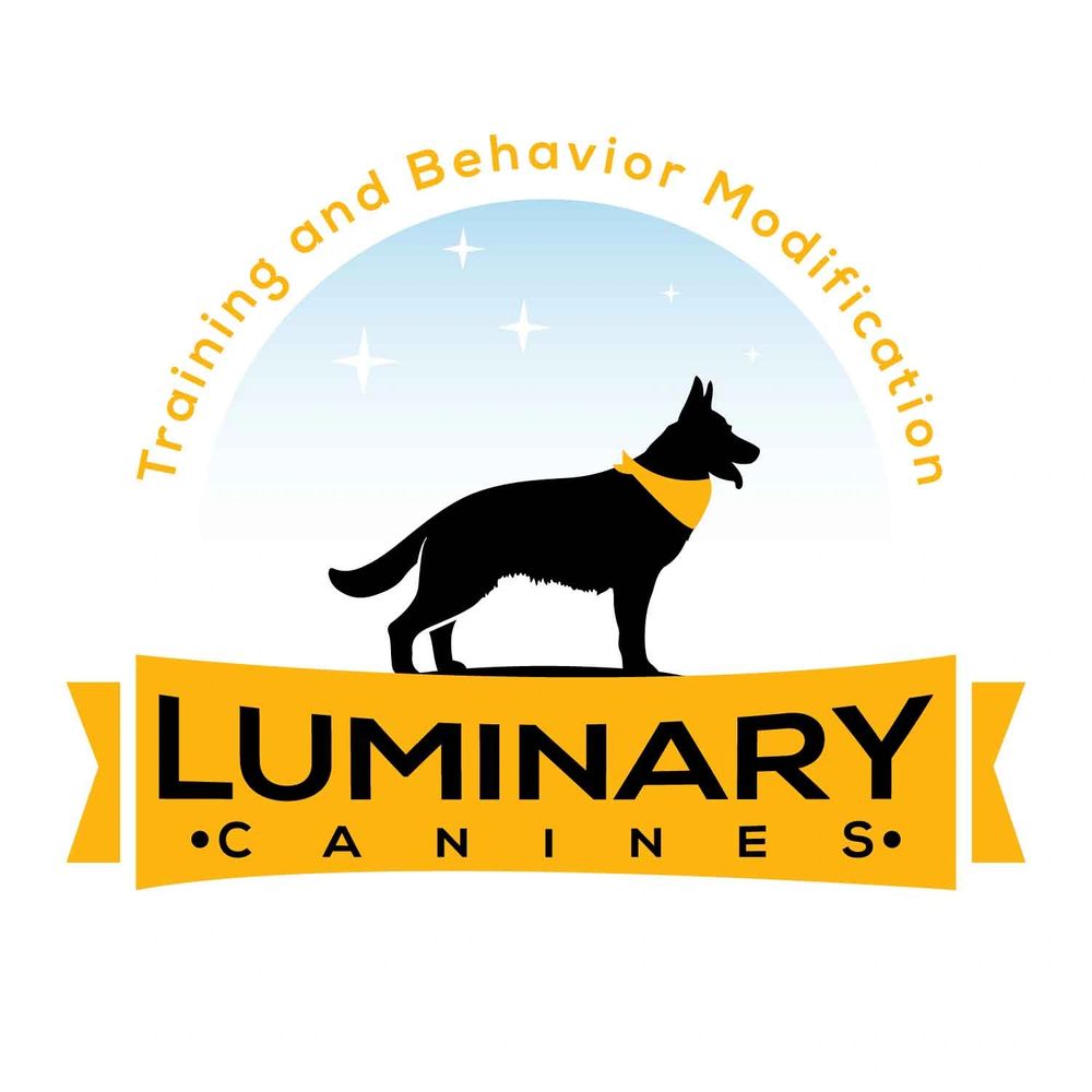 Certified Trainer Specialized in Behavior Modification and Dog Training 