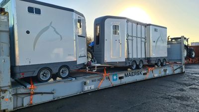 light weight horse trailer bumper pull horsebox import financing customs bockmann maple lane