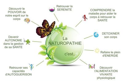 La naturopathie spécialisée en nutrition fonctionnelle