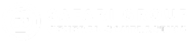 Safari Group L.L.C.