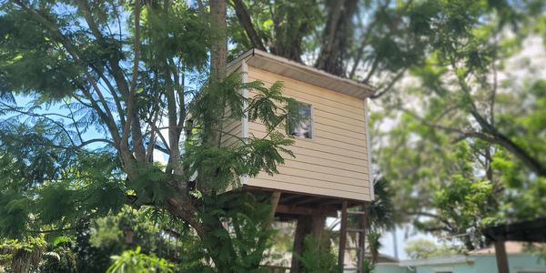 After a neighbor complained, he had to go to the City of Tampa and apply for a variance.