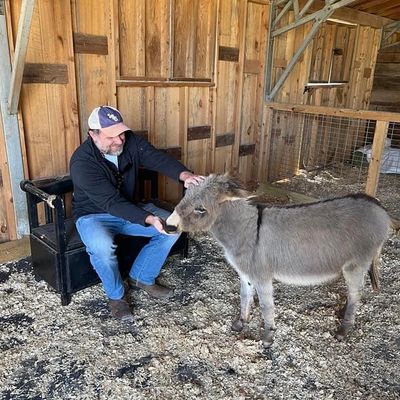 Man petting Hank the donkey at Triple Brook Farm
