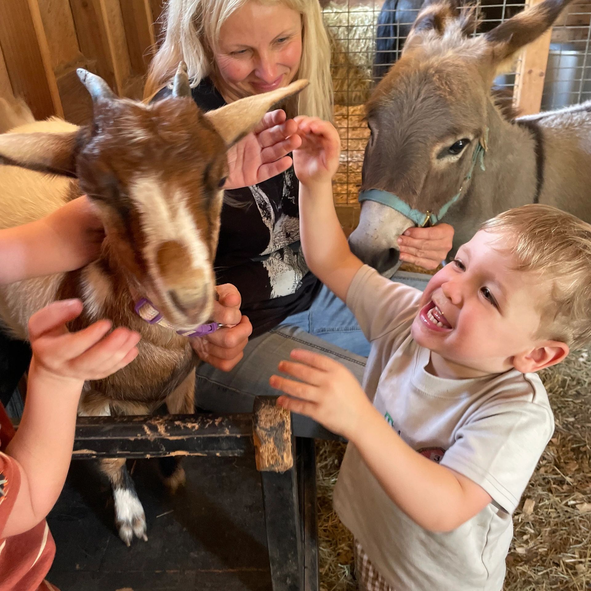 Child smiling petting a goat and farmer with a donkey at a petting farm in Ball Ground, Georgi