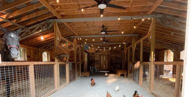 Barn inside with a horse and chickens