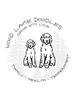 Wood Lake Doodles