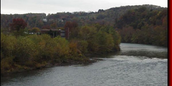 A river flowing through a forested landscape with hills in the background.