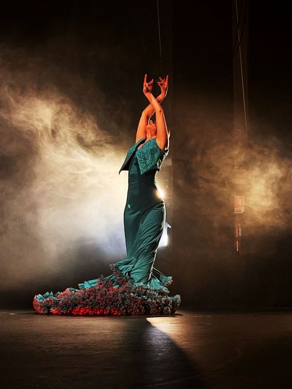 Flamenco dancer in a dramatic pose with spotlight and smoke effects.