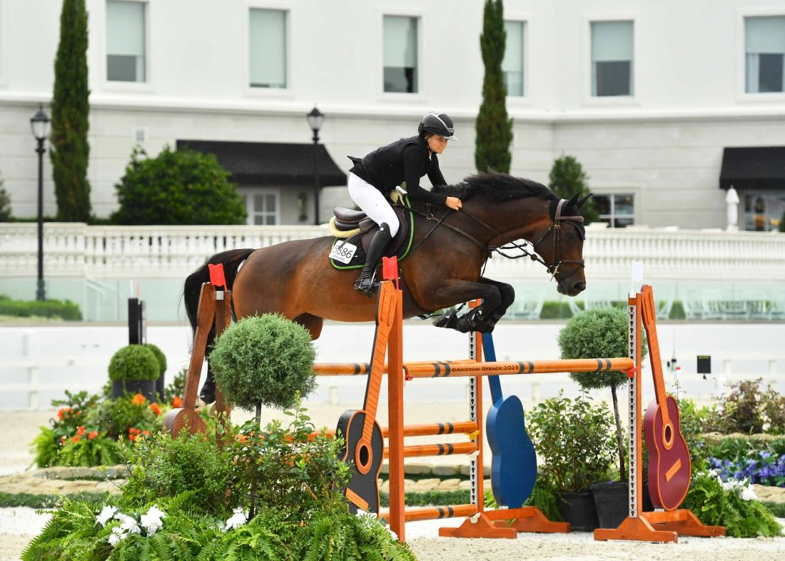 Lafayette F over an oxer