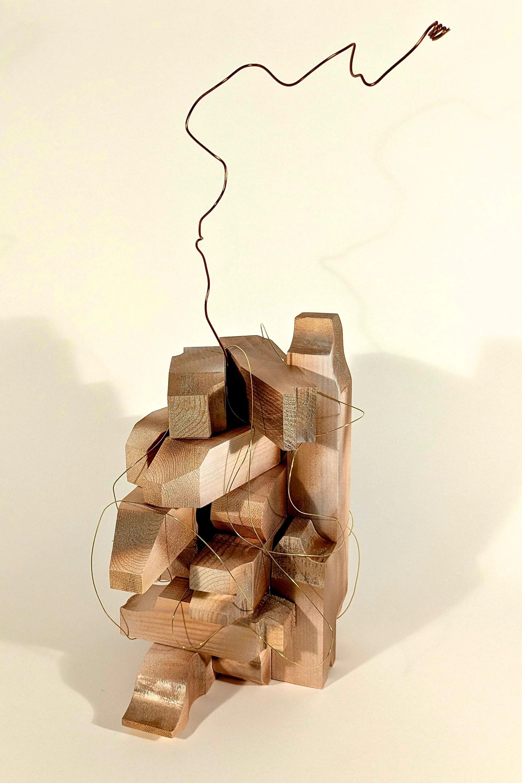 Abstract wooden sculpture with wire details against a light background.