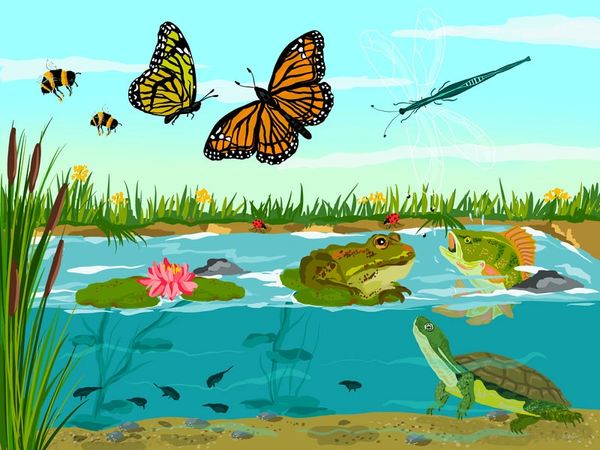 Colorful insects, amphibians, and aquatic life thriving in a vibrant pond ecosystem.