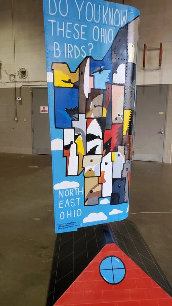 Colorful artwork featuring Ohio birds on a blue background with text about Northeast Ohio birds.