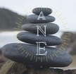 A New Elevation