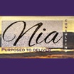 Nia Business Consulting