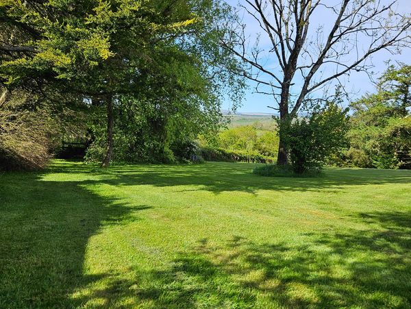 A sunny, green lawn with trees casting shadows under a clear blue sky.