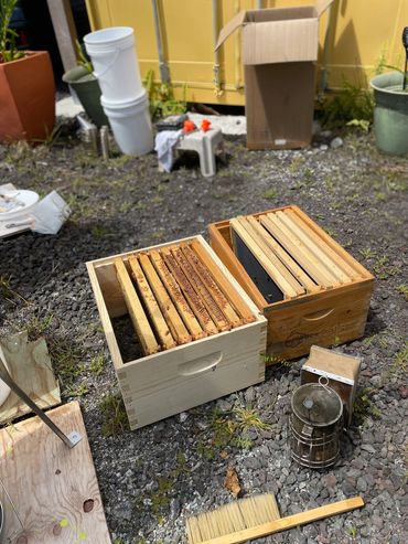 Two beekeeping boxes with frames on the ground surrounded by tools and supplies.