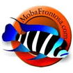 Moba Frontosa