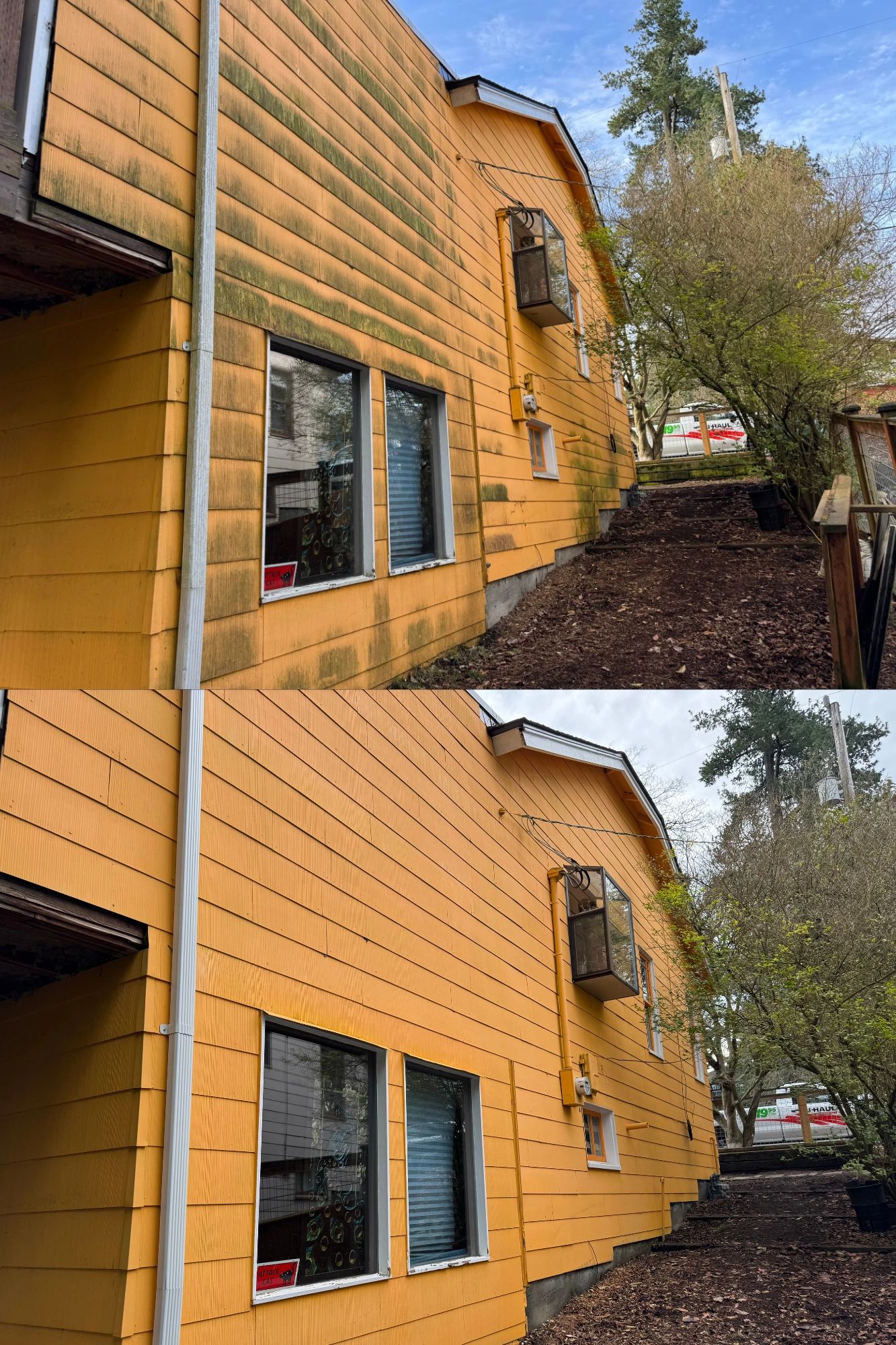 house washing in Northgate. green siding pressure washing driveway