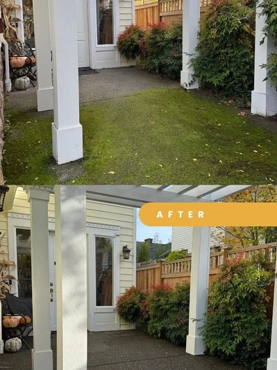 Professional moss removal in Seattle. We safely remove moss and algae from driveways, sidewalks
