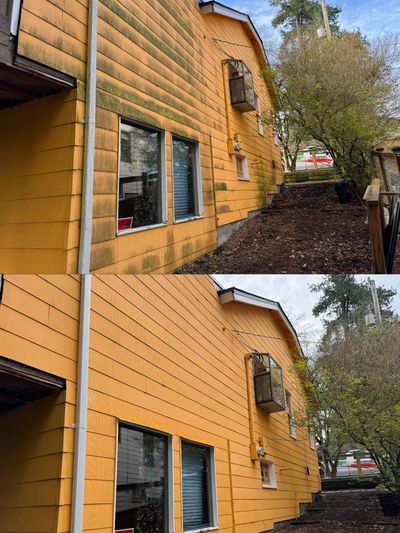 house washing Seattle WA by women owned pressure washing company
