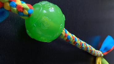 Lime green, turquoise, yellow and orange tug toy with a small green ball at one end of the toy.