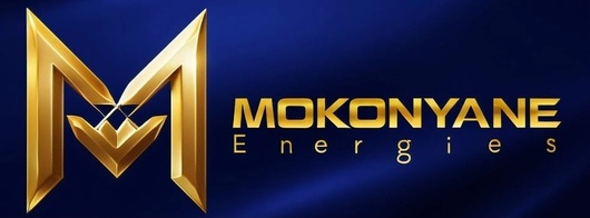 mokonyaneenergies.store