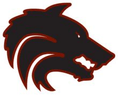 Desert Mountain High School Cheer