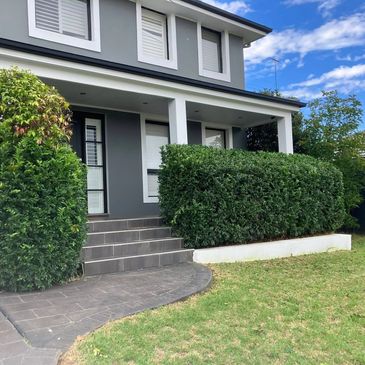Modern two-story house with gray walls and neatly trimmed green hedges.