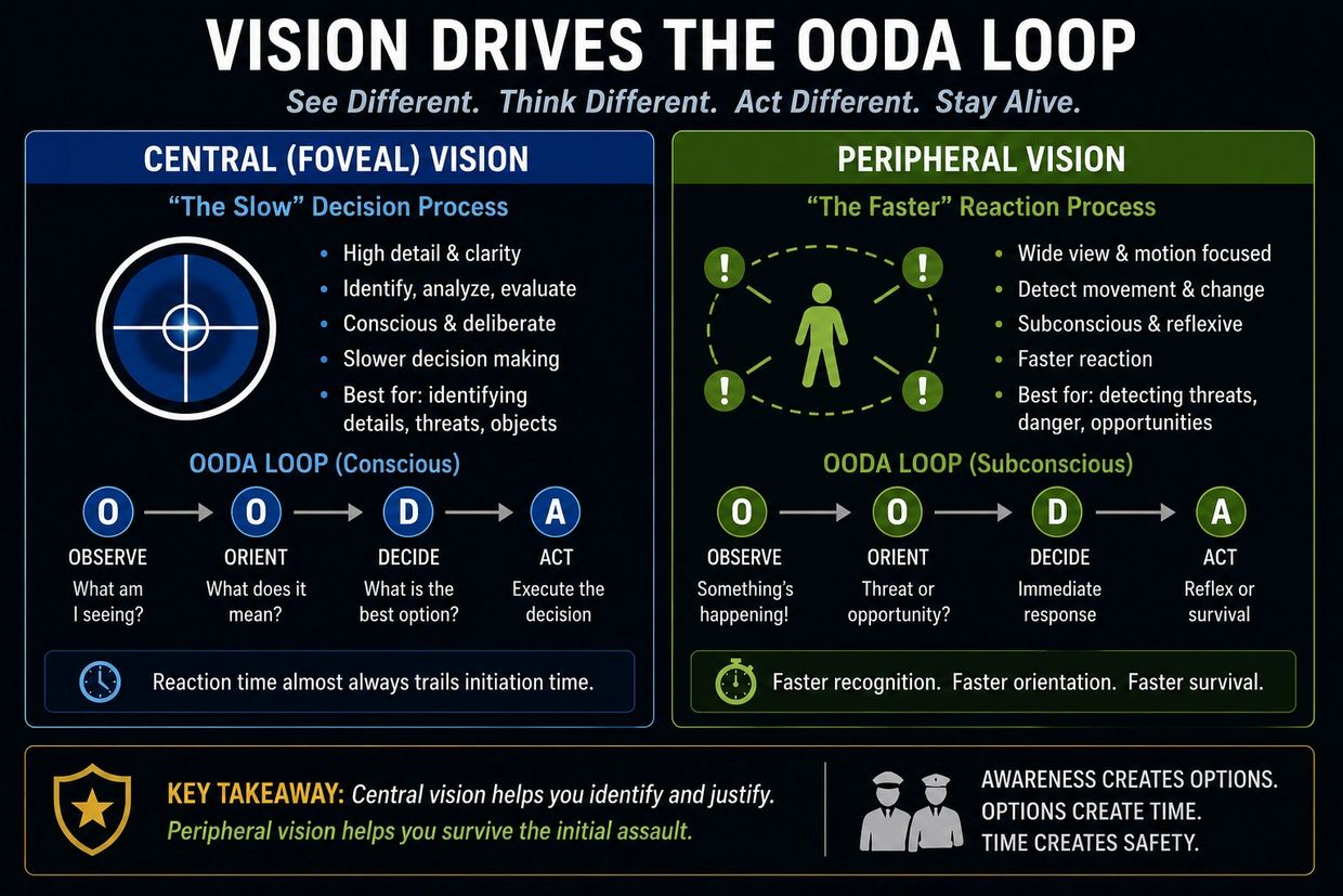 Comparison of central and peripheral vision in decision-making and reaction speed.