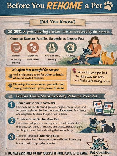 Informative poster on safely rehoming pets with reasons and steps.