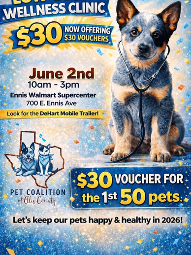 Pet wellness clinic offering $30 vouchers on June 2nd at Ennis Walmart.