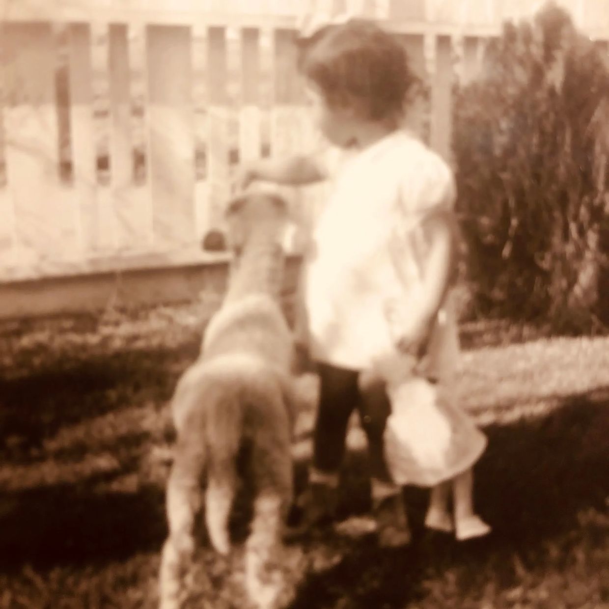 Judy, at home on the farm. 