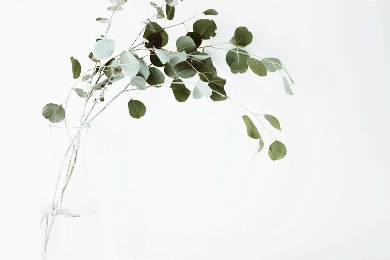 Purely Clean house cleaning services ottawa Inc.