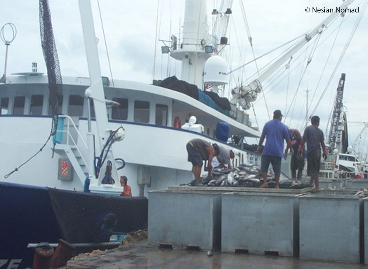 Unloading tuna from a purse seine fishing vessel at Majuro, Marshall Islands.
