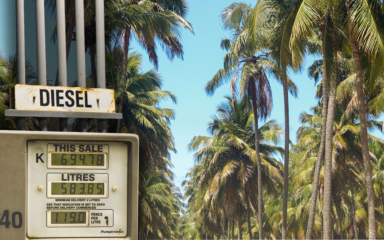 "Coconut plantation" by Allyson Fernando from Pexels