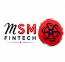 MSM Fintech