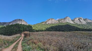 Caminho para Serra da Pedra Branca, com plantação de milho, em Conceição das Pedras, Minas Gerais