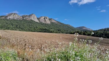 Serra da Pedra Branca, com plantação de milho e flor branca, em Conceição das Pedras, Minas Gerais