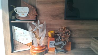 Troféus da família campeã de melhor café especial orgânico do Brasil