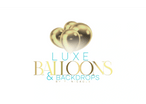 Luxe Balloons & Backdrops by T. Nickole

