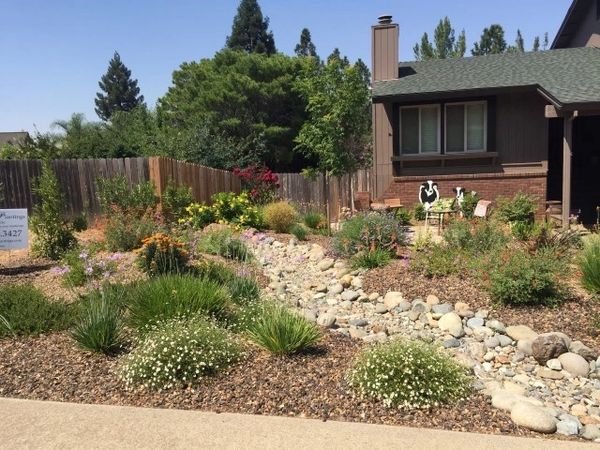 Mulch and plant design. 