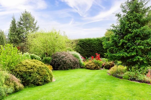 Freshly mowed lawn and hedges. 