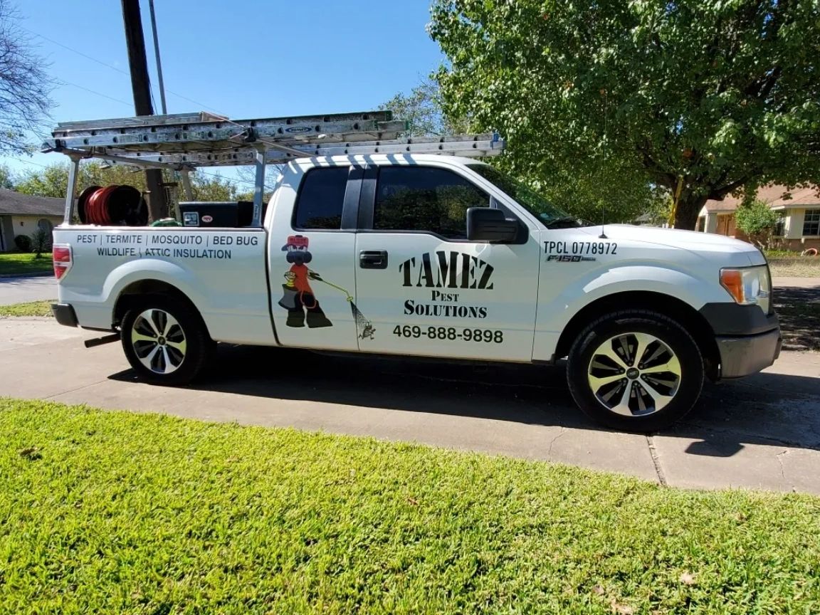 Tamez Pest Solutions Tamez Pest Solutions