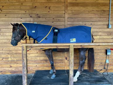 Equimag blanket and Theraplate