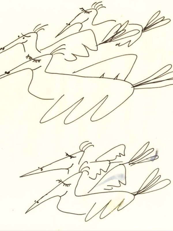 Birds of a feather - Eli Marcus 1989